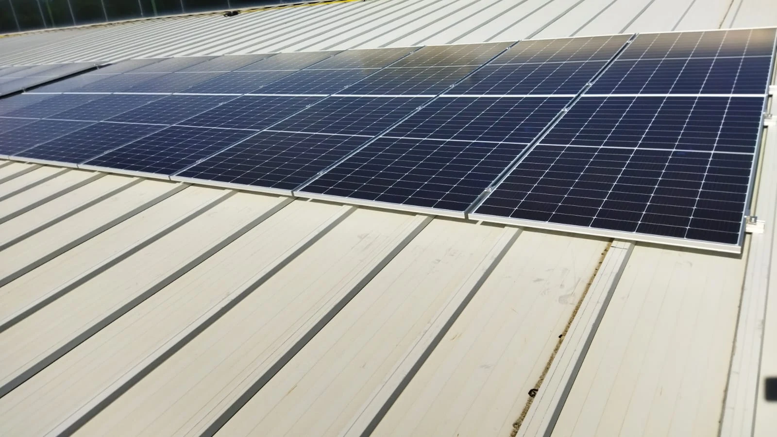 Paneles solares sobre la nave de producción